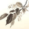 Картина «Ветка черемухи»
