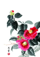 Открытка «Камелия»